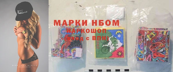 ПСИЛОЦИБИНОВЫЕ ГРИБЫ Горняк