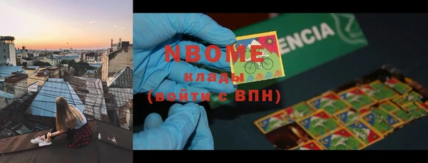 ПСИЛОЦИБИНОВЫЕ ГРИБЫ Горняк