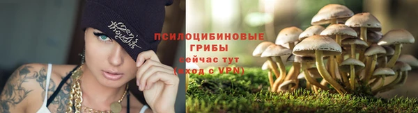 винт Горно-Алтайск
