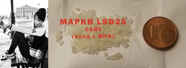 ПСИЛОЦИБИНОВЫЕ ГРИБЫ Горняк