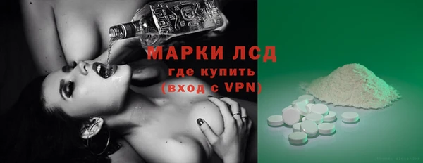 ПСИЛОЦИБИНОВЫЕ ГРИБЫ Горняк