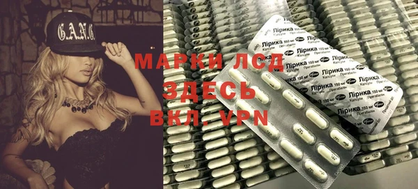 ПСИЛОЦИБИНОВЫЕ ГРИБЫ Горняк