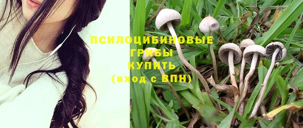 метамфетамин Горнозаводск