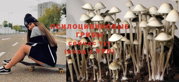 винт Горно-Алтайск