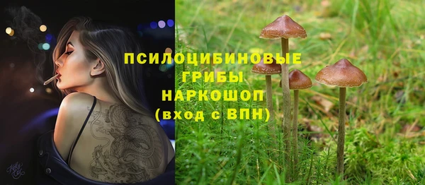 винт Горно-Алтайск