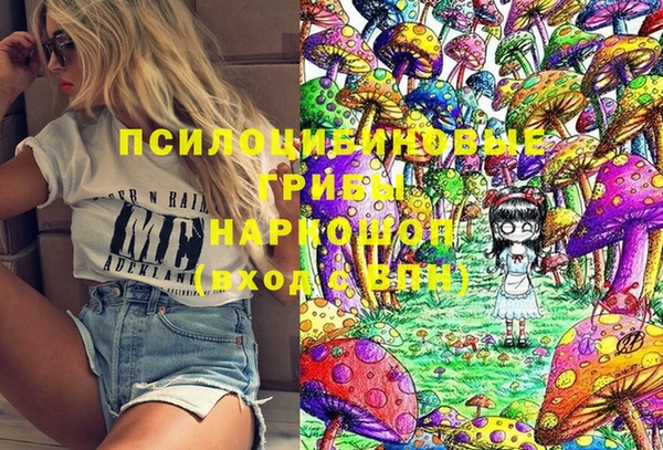винт Горно-Алтайск
