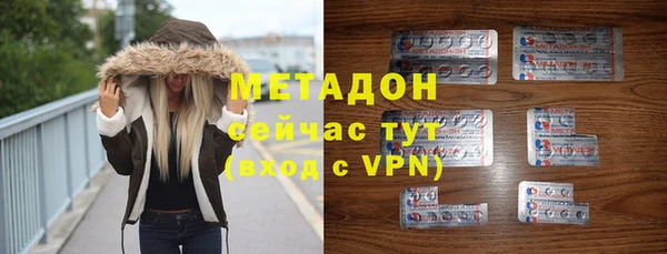ПСИЛОЦИБИНОВЫЕ ГРИБЫ Горняк